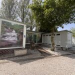 Zona de sanitarios en camping familiar